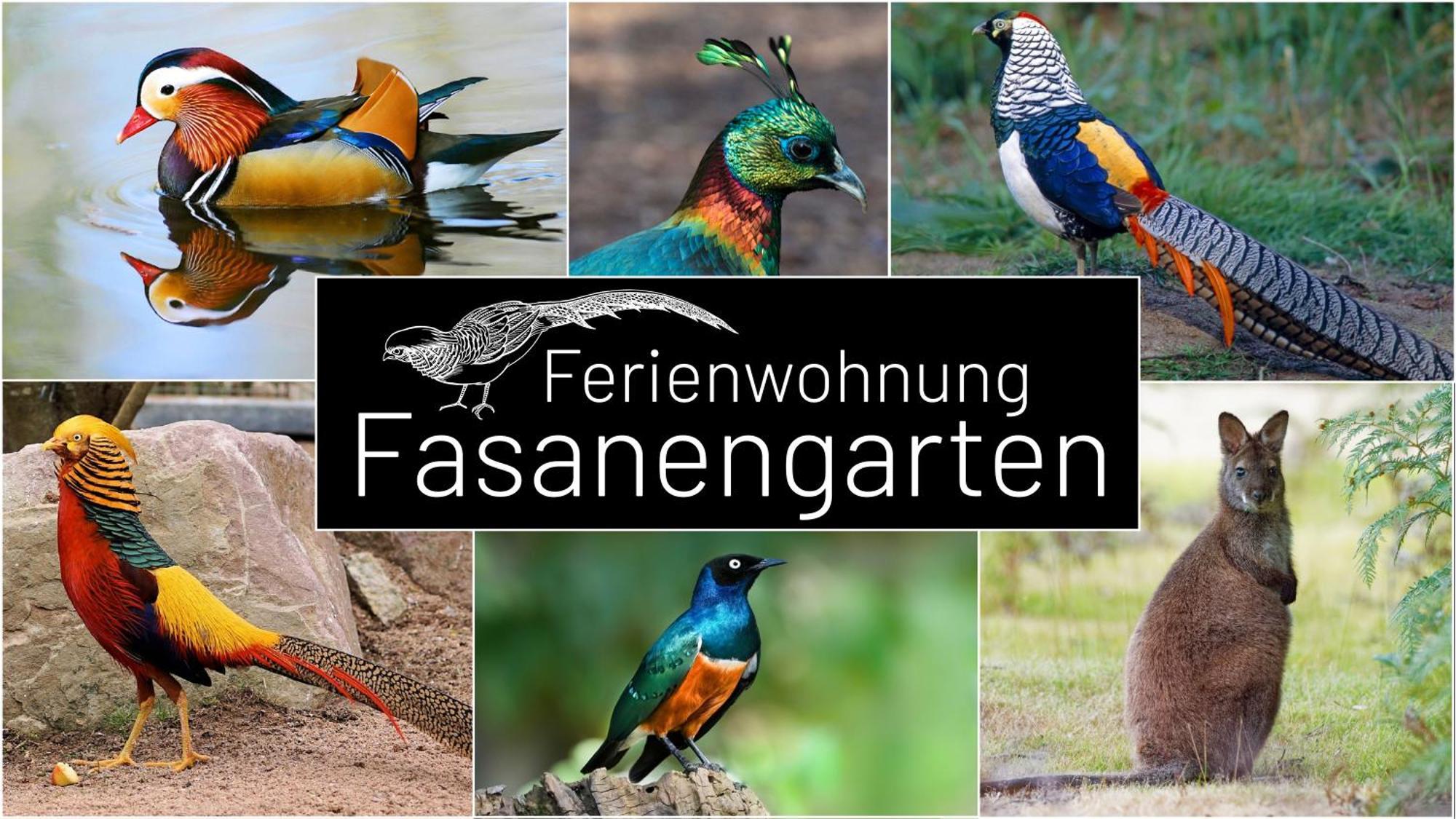 Fasanengarten In Traunreut Exterior foto